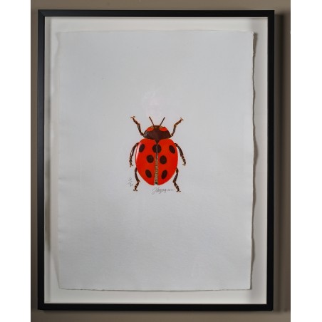 Gravure Coccinelle - Peinture